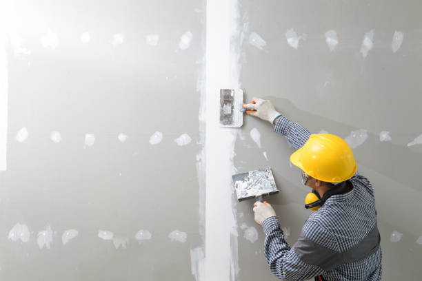 Best Drywall for New Construction  in King City, CA